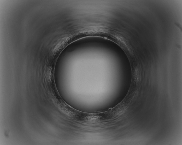 X0000102030495200807181353