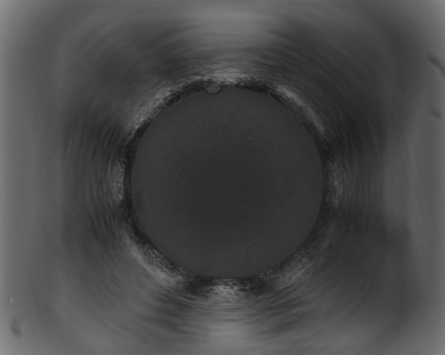 X0000102030496200807181353