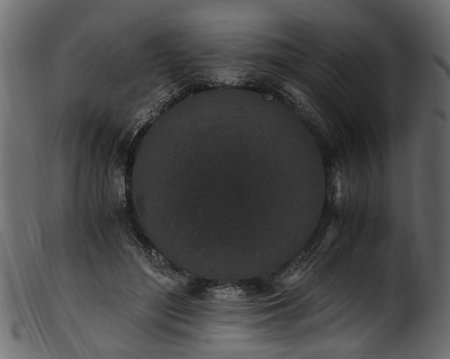 X0000102030500200807181353