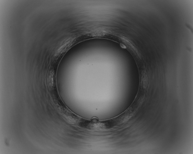 X0000102030501200807181353