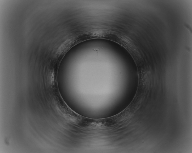 X0000102030502200807181353