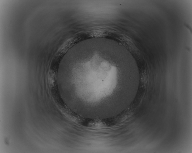 X0000102030503200807181353