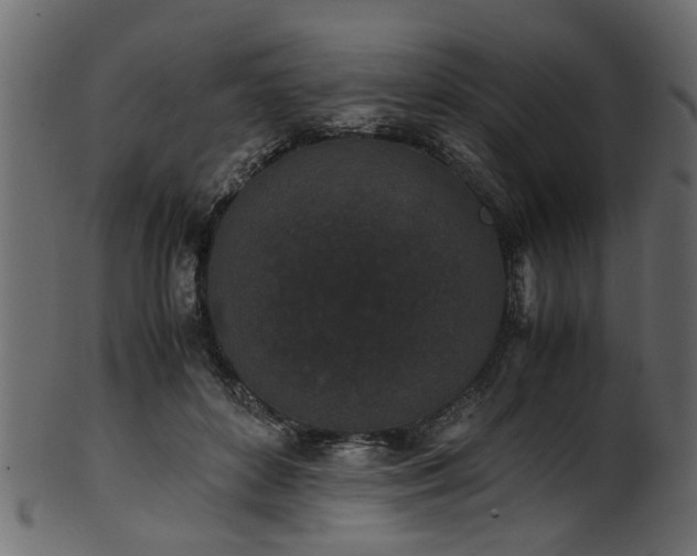 X0000102030504200807181353