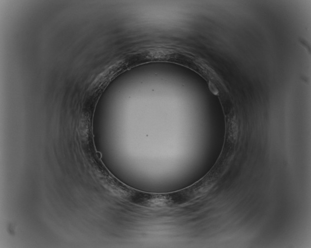 X0000102030505200807181353