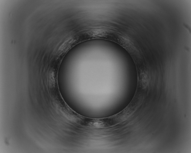 X0000102030506200807181353