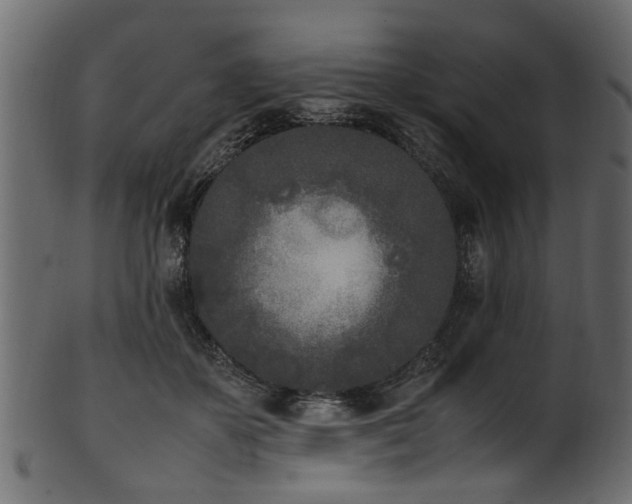 X0000102030507200807181353