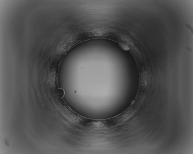 X0000102030509200807181353