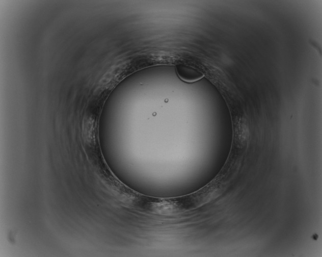 X0000102030511200807181353