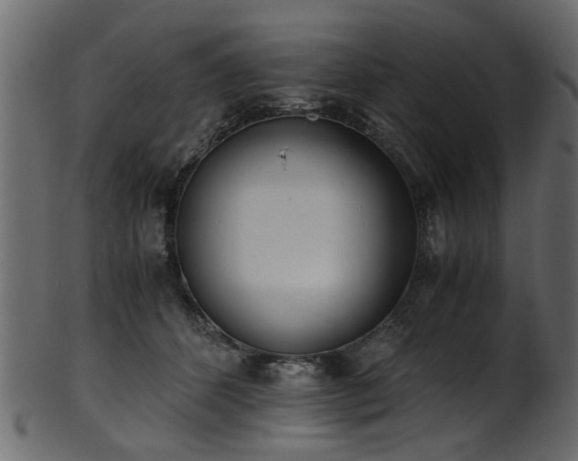 X0000102030512200807181353