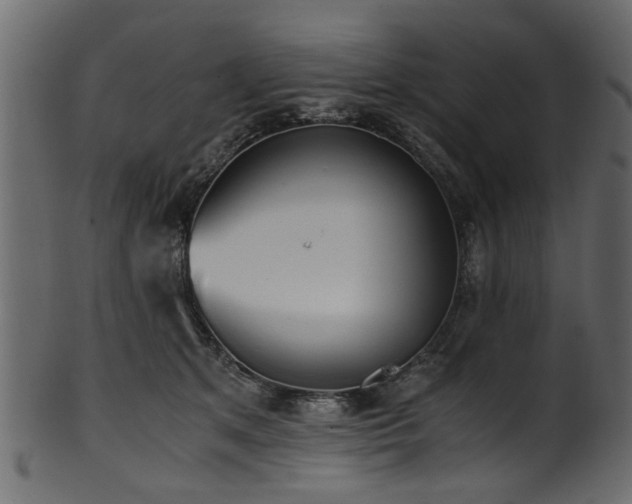 X0000102030513200807181353