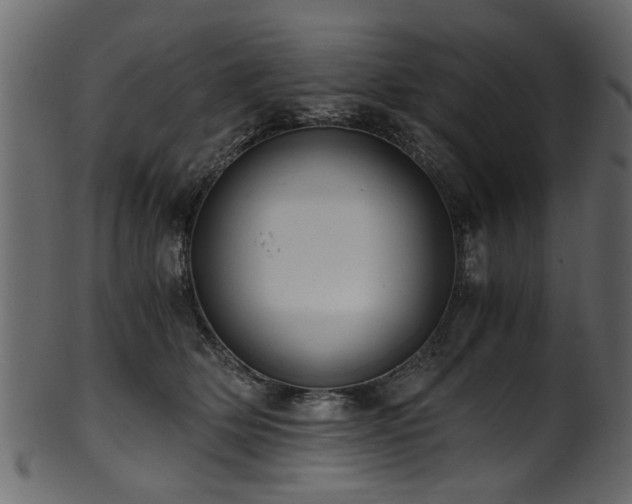 X0000102030514200807181353