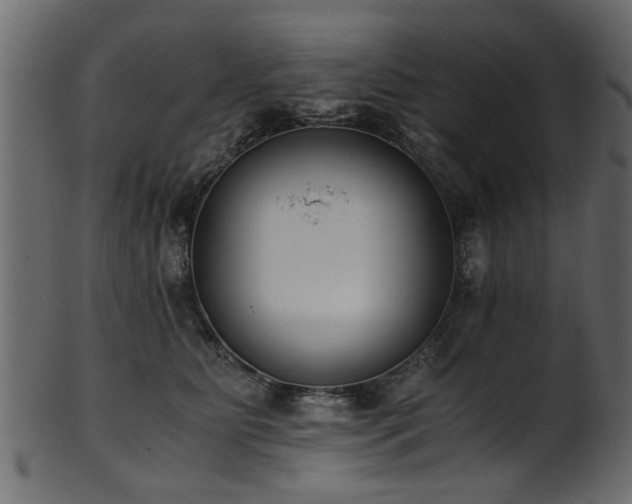 X0000102030515200807181353