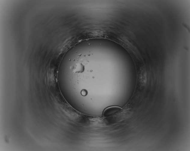 X0000102030516200807181353