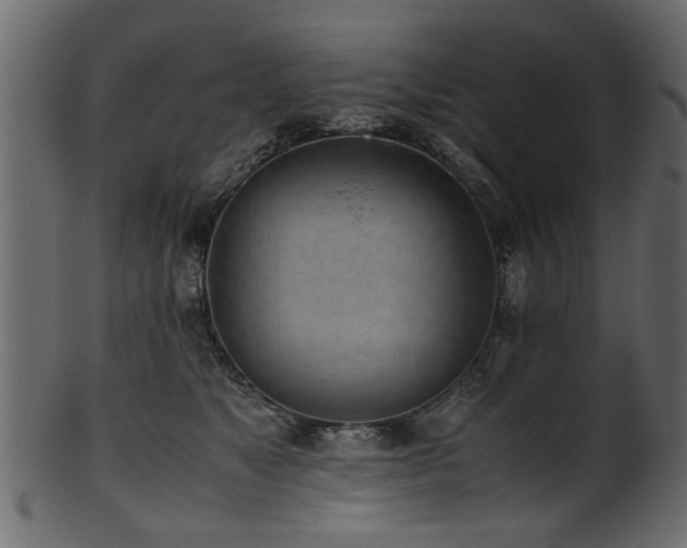 X0000102030517200807181353