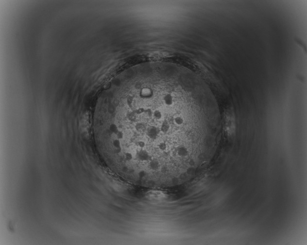 X0000102030519200807181353