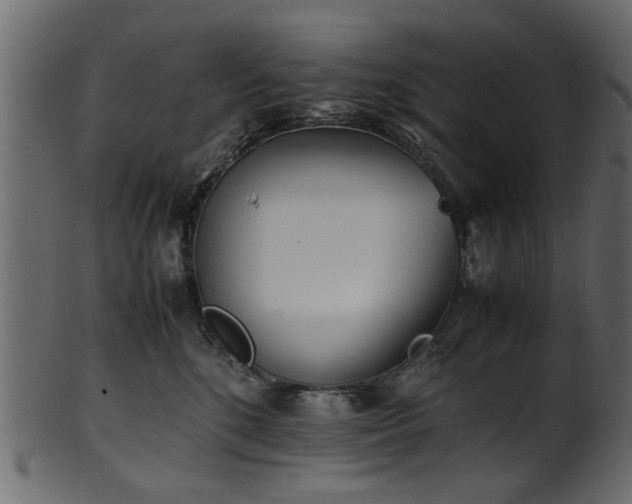 X0000102030520200807181353