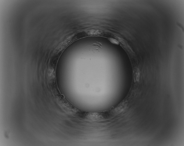 X0000102030521200807181353