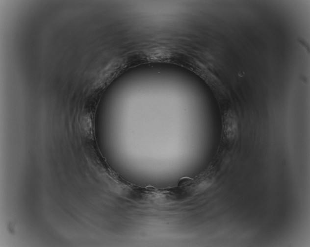 X0000102030523200807181353