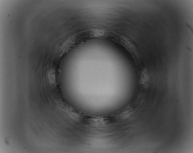 X0000102030524200807181353