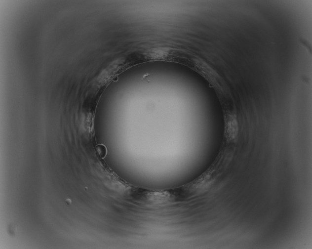 X0000102030525200807181353