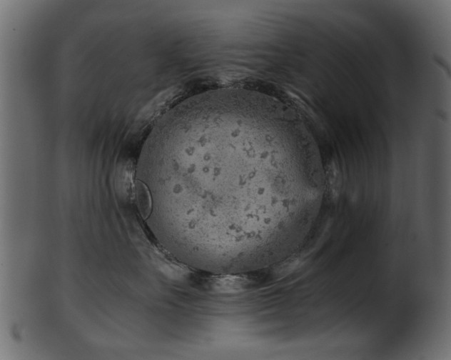 X0000102030527200807181353