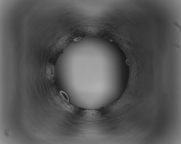 X0000102030528200807181353