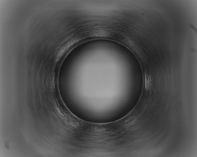 X0000102030531200807181352