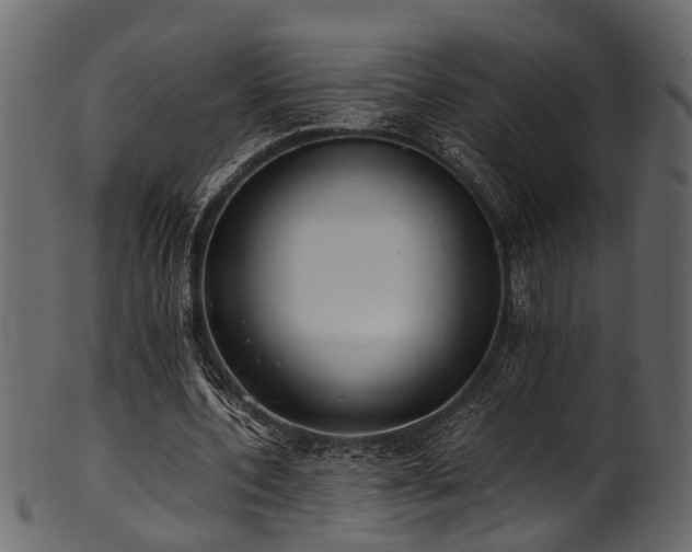 X0000102030532200807181352