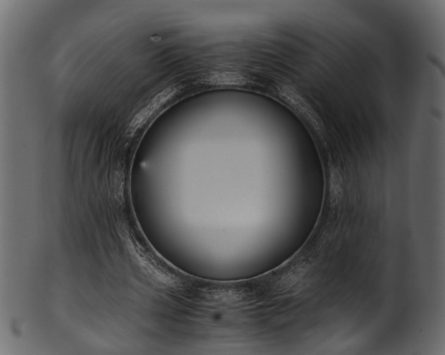 X0000102030533200807181352