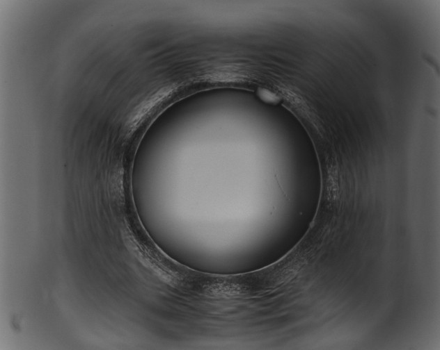 X0000102030535200807181352