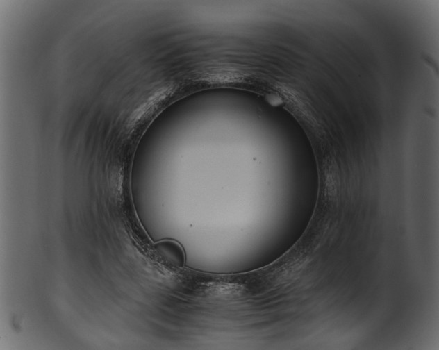 X0000102030539200807181352