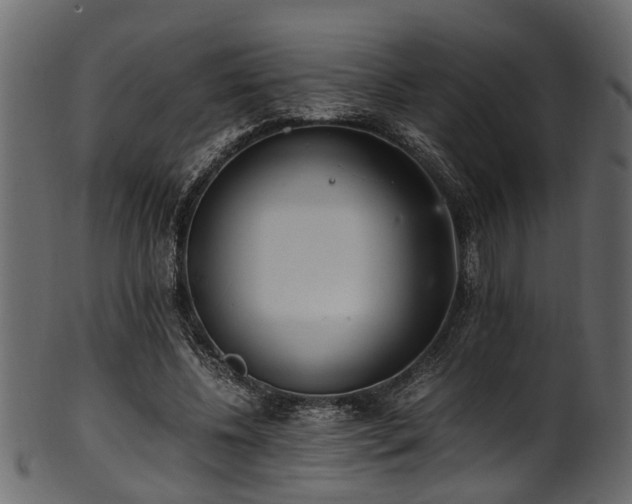 X0000102030540200807181352