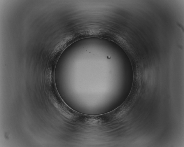 X0000102030542200807181352