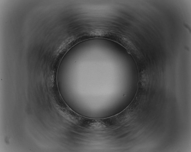 X0000102030544200807181352