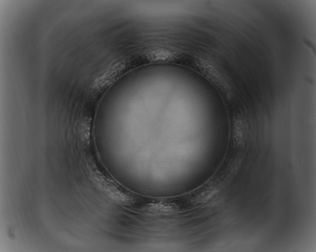 X0000102030545200807181352