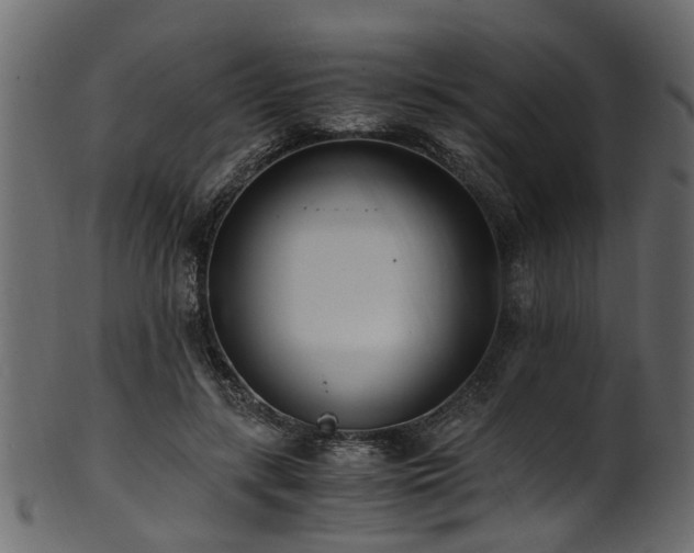 X0000102030547200807181352