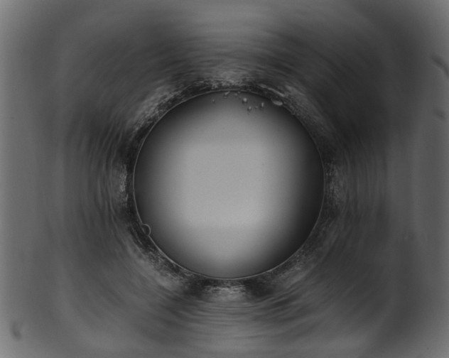 X0000102030548200807181352