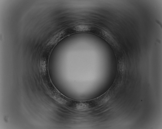 X0000102030549200807181352