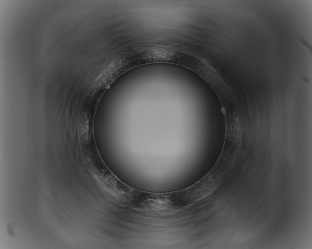 X0000102030552200807181352