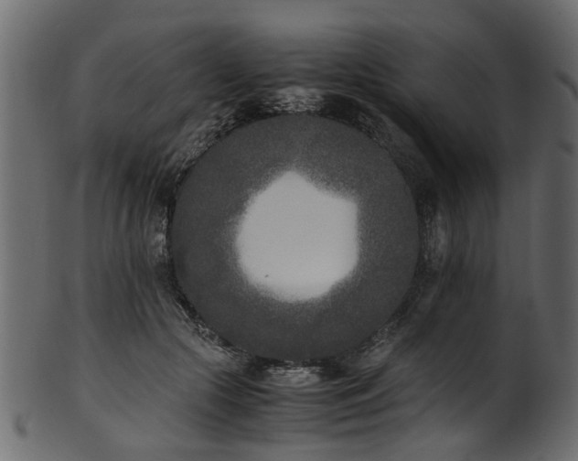 X0000102030553200807181352