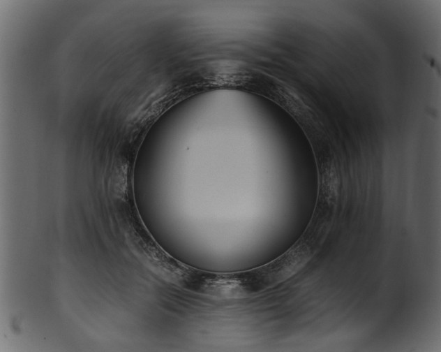 X0000102030554200807181352