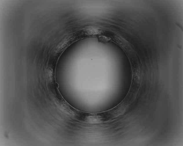 X0000102030556200807181352