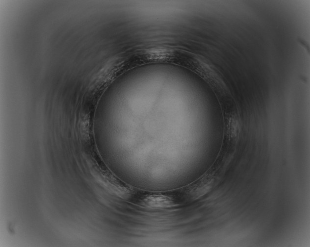 X0000102030557200807181352