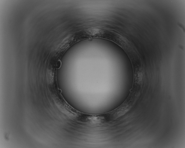 X0000102030558200807181352