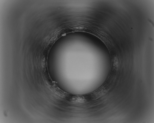 X0000102030559200807181352