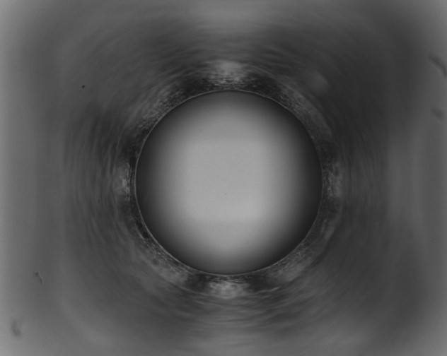 X0000102030561200807181352