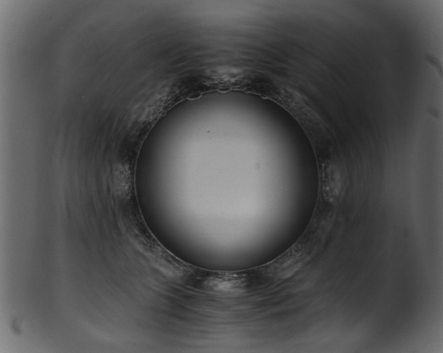 X0000102030563200807181352