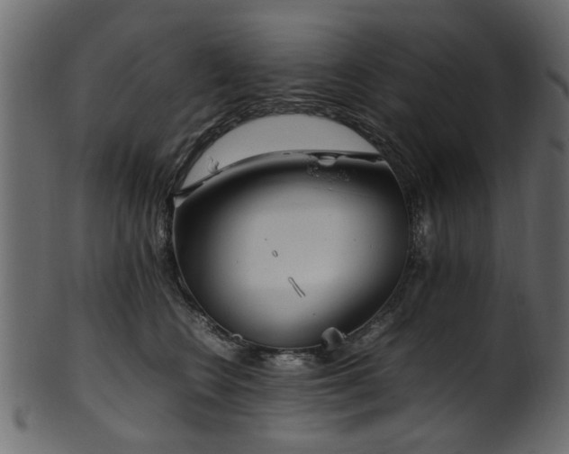 X0000102030566200807181352