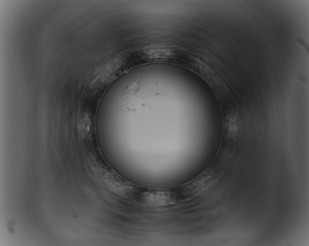 X0000102030567200807181352