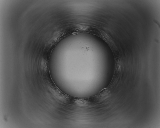 X0000102030568200807181352